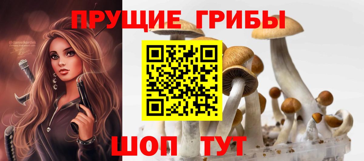 Галлюциногенные грибы Cubensis Дербент