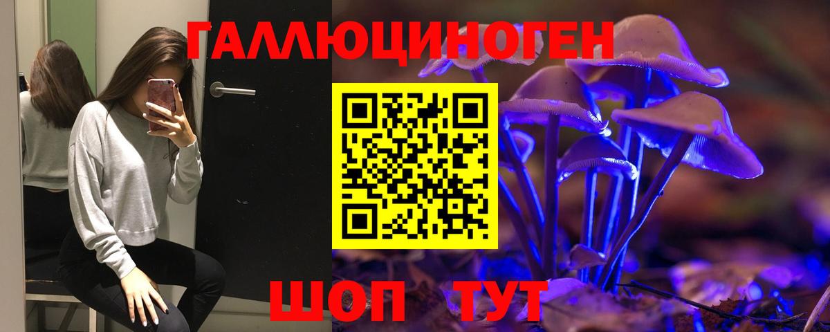 Псилоцибиновые грибы Psilocybe  Галлюциногенные грибы Cubensis  Вход с VPN  Дербент 