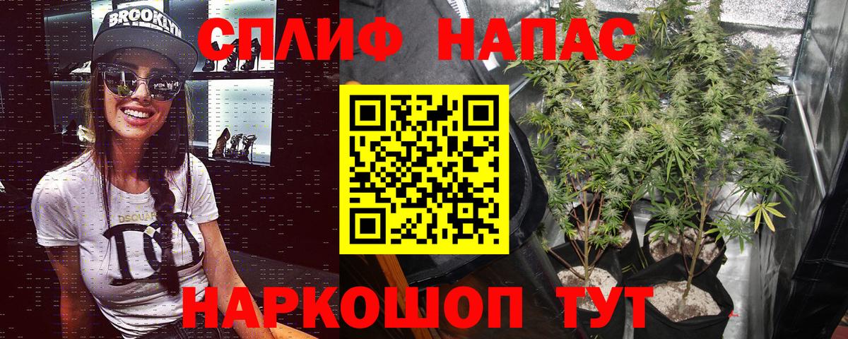 Канабис ГИДРОПОН Дербент